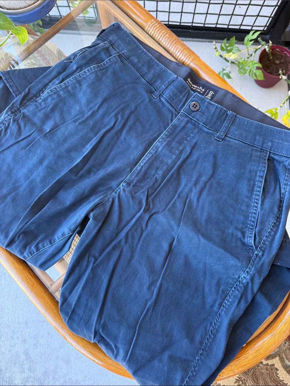 Men's Navy Pleated Chino Pants